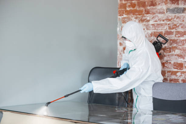 Why You Should Choose Our Mold Remediation Services in Stanford, CA